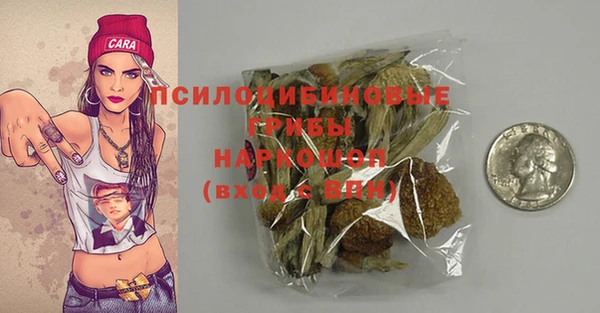 молекула духа Беломорск