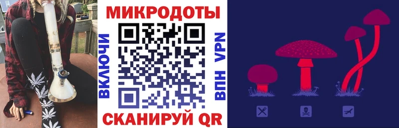где продают   Жигулёвск  Галлюциногенные грибы Psilocybe 
