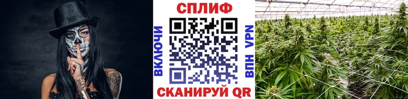 цены   Жигулёвск  Марихуана LSD WEED 